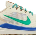 Nike Winflo 9 Running Shoes