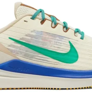 Nike Winflo 9 Running Shoes