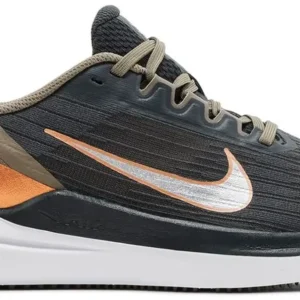 Nike Winflo 9 Running Shoes