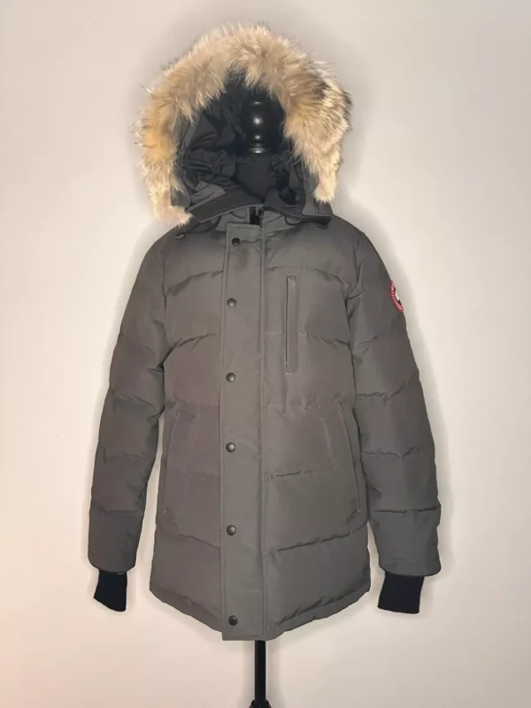 Premium Canada Goose winter down jacket.